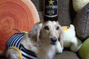 サッポロビール好き