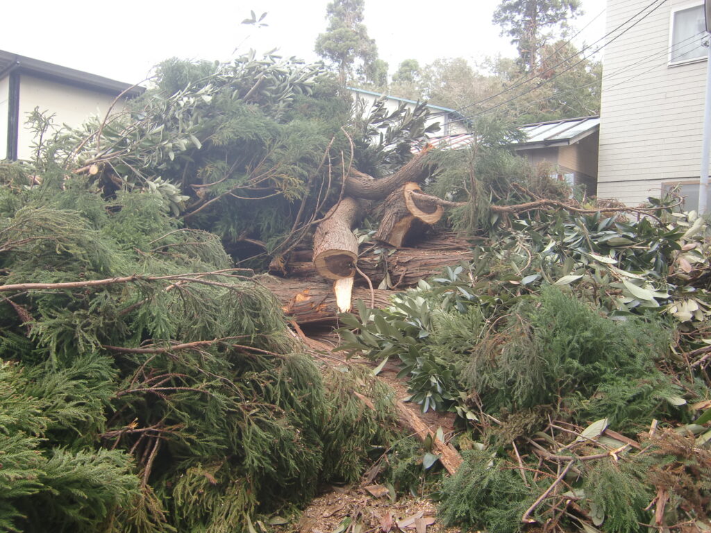 千葉台風被害