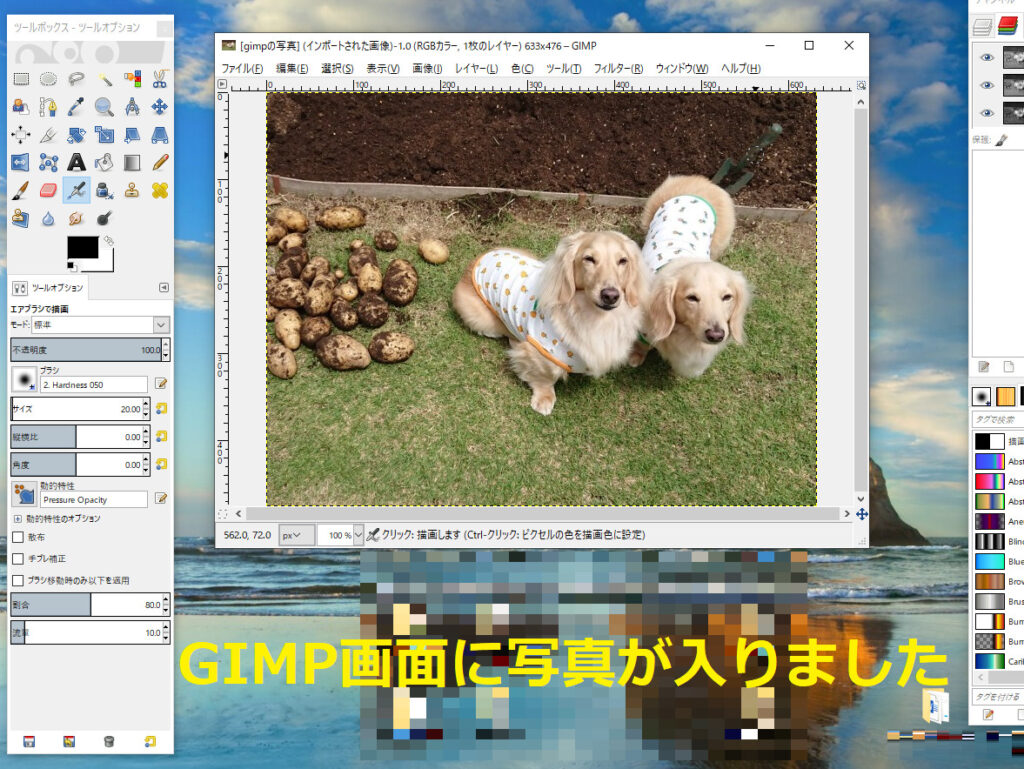 GIMP写真取り込み