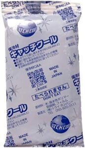 保冷剤 キャッチクール 100g ×10個 70mm×150mm 日本製